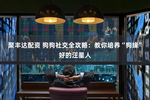 聚丰达配资 狗狗社交全攻略：教你培养“狗缘”好的汪星人