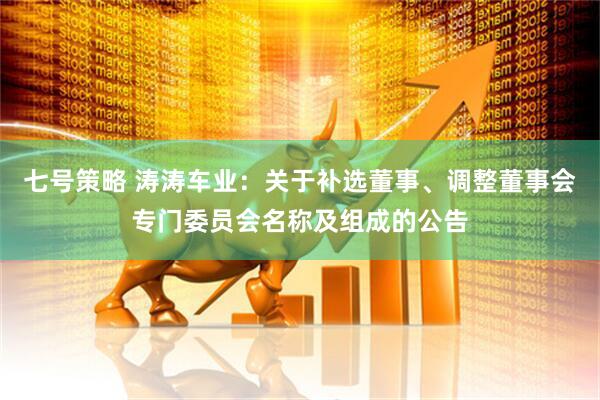 七号策略 涛涛车业：关于补选董事、调整董事会专门委员会名称及组成的公告