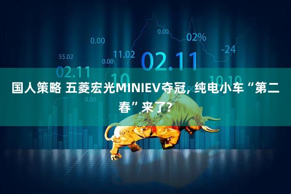 国人策略 五菱宏光MINIEV夺冠, 纯电小车“第二春”来了?