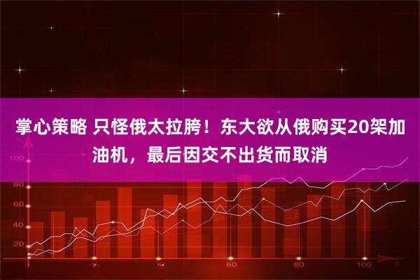 掌心策略 只怪俄太拉胯！东大欲从俄购买20架加油机，最后因交不出货而取消